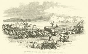 Optog med tyren under Nimrudhøjen
